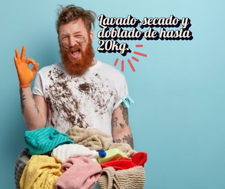 🧽 Lavado Domicilio - Hasta 20kg
