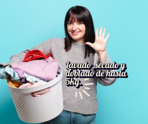 🧺 Lavado Domicilio - Hasta 5kg